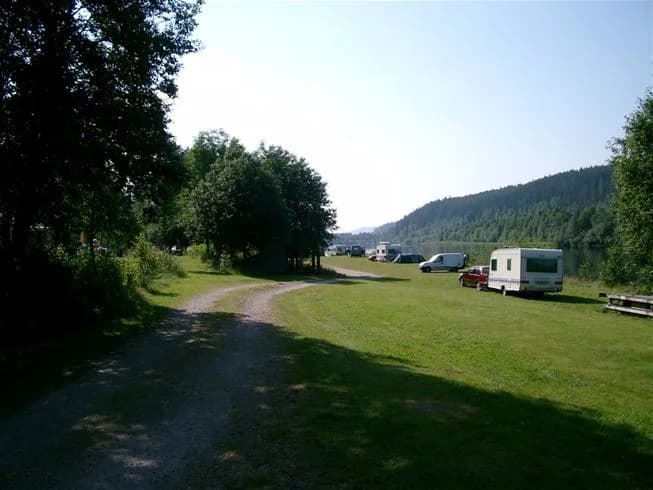 Bild av Värnäs Camping: En rymlig campingplats med grön äng och betesmark, där en väg leder förbi. Det finns parkerade sport- och fritidsfordon samt husbilar. Området omges av granar och björkar.