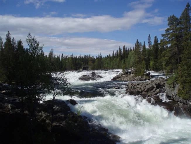 Bilden visar en naturskön vy över en strömmande bergsälv som slingrar sig genom vildmarken nära Vålågårdens värdshus & camping.