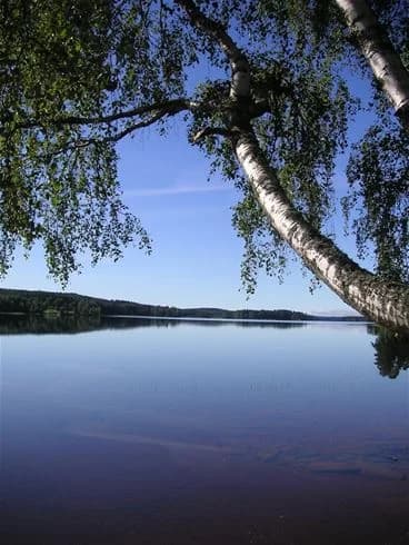 En lugn sjö omgiven av grönska vid Sörälgens camping, där himlen speglas i det klara vattnet.