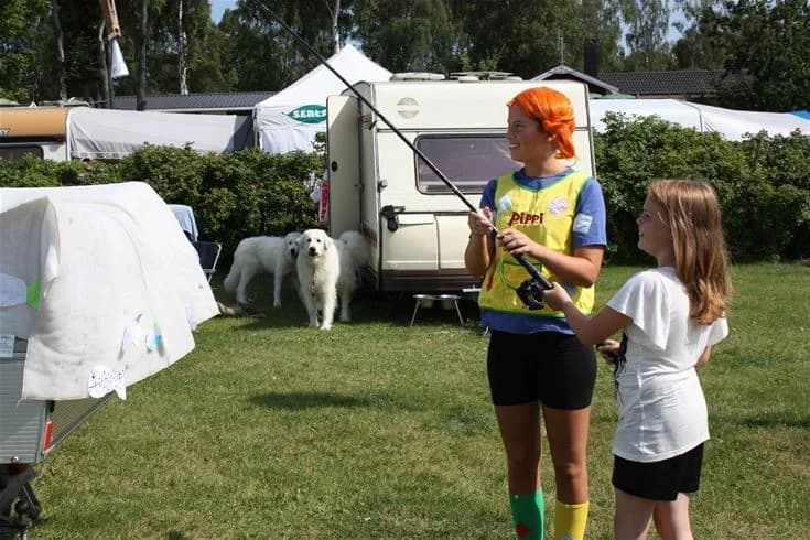 En hund i koppel sitter bredvid ett tält på Norje Boke Camping, omgiven av campingstolar och grönskande natur.