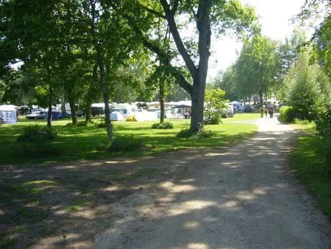 En campingplats med gröna gräsmattor och parkerade tält under skuggande träd. Området har en öppen atmosfär med plats för bilar och aktiviteter.