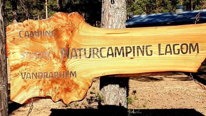 En bild av en naturcampingplats med tält bland träd i en skogsmiljö.