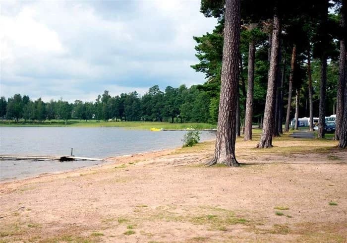 En naturskön vy över Karlsborgs camping med en sjö i förgrunden, omgiven av träd och lummig grönska vid strandkanten.