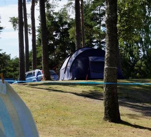 En campingplats med gröna gräsytor och skog i bakgrunden. Ett blått tält står uppsatt under trädens skugga, omgivningen är lugn och inbjuder till friluftsliv.