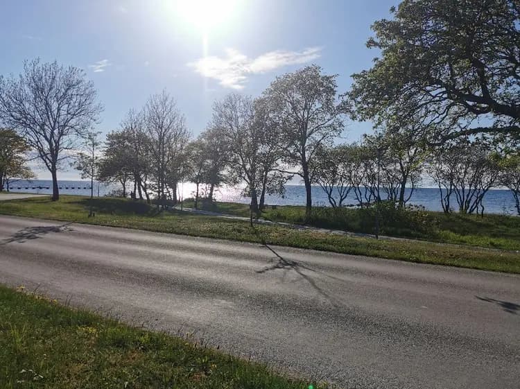 En grönskande naturmiljö vid Kneippbyn Resort Visby, med en asfalterad väg som slingrar sig genom landskapet under en klar himmel. Solskenet belyser den vidsträckta horisonten.