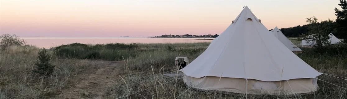 En campingplats vid havet med flera tält uppställda på gräs, omgiven av träd och öppna ytor.