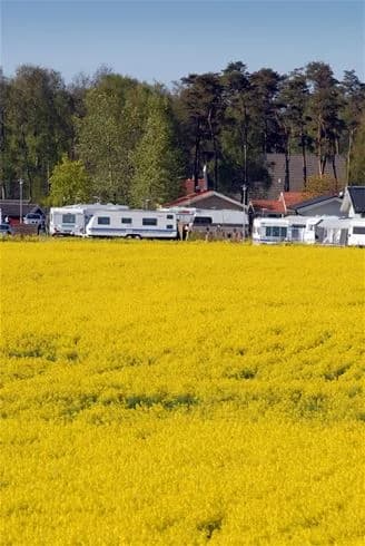 En vidsträckt gul äng med utsikt över fält och odlingsmark under en klar himmel, representerar naturen runt Gullbrannagården.