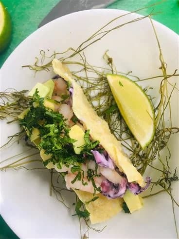 En elegant upplagd maträtt med olika grönsaker och örter på en tallrik, som serveras på Hölick Havsresort.
