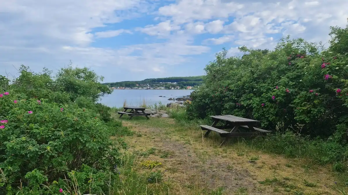 Vy över Valjevikens camping och dess natursköna omgivningar. En kustlinje med vatten sträcker sig längs stranden, omgiven av grönskande växtlighet och buskar. Landskapet badar i sommarljus som skapar en inbjudande atmosfär för naturälskare och besökare.