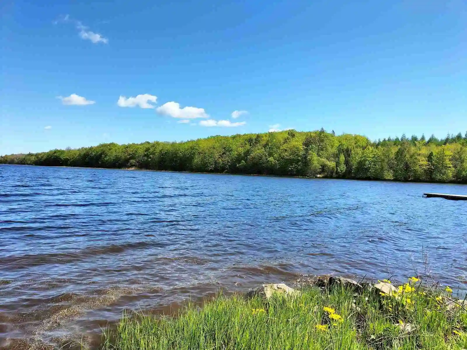 En somrig naturbild vid Hätteboda vildmarkscamping, som visar en klar blå vattensjö omgiven av frodig grönska och en naturskön landskap.