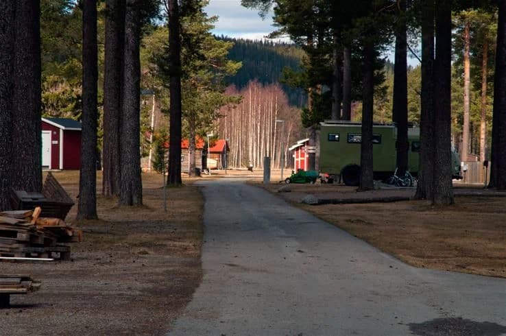 En slingrande grusväg leder genom en skog av lärk- och andra träd, med en liten trästuga och en vedbod synliga bland skuggorna. Platsen ger en känsla av avskildhet och friluftsliv, i linje med Camp Vikings natursköna miljö.