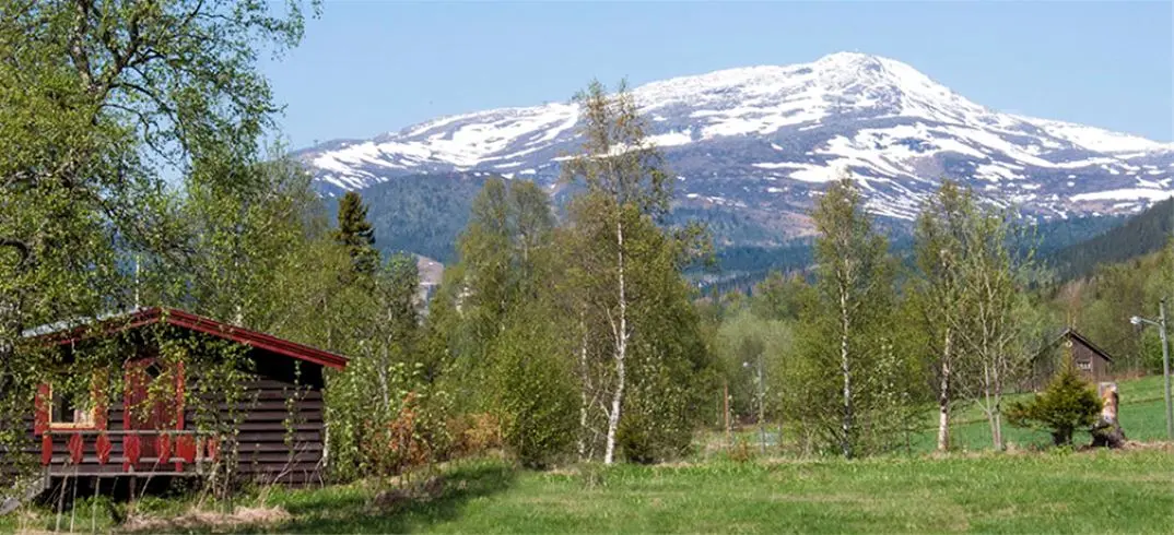 En naturskön campingplats vid foten av ett berg med frodiga träd och växtlighet, typiska för Åres bergiga landskap.
