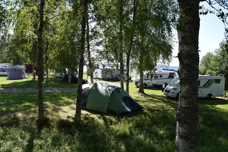 En grön campingplats med tält och husbilar uppställda på en gräsmatta, med cyklar och parkeringsutrymmen synliga, omgiven av en lugn och naturnära miljö.