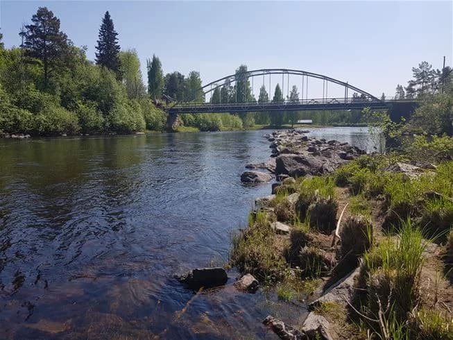 En träbro sträcker sig över en lugn flod i en naturskön miljö med tät skog på båda sidor av vattnet.
