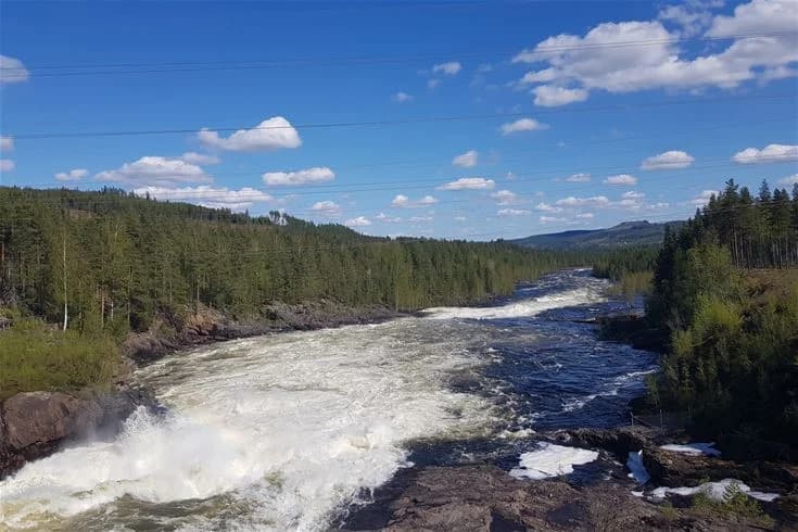 En porlande ström rinner genom en vildmarksidyll vid Ammeråns fiskecamp, omgiven av grönskande natur och flodlandskap.