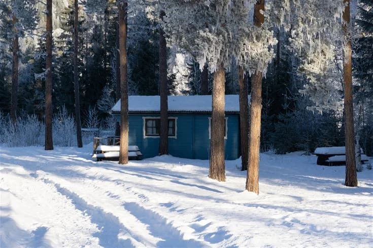 En snötäckt stuga omgiven av snötäckta träd i en vintrig skog vid Ammeråns fiskecamp.
