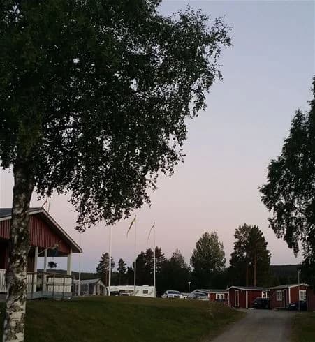 En grön gräsmatta med skuggade områden och en bred öppen yta vid Hotings camping. En flaggstång står vid kanten, omgiven av träd och buskar som skapar en parkliknande miljö.