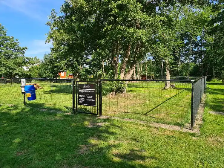 En grönskande campingplats vid Sandbybadet, med träd, gräsmatta och skugga, inhägnat av ett chain-link stängsel.