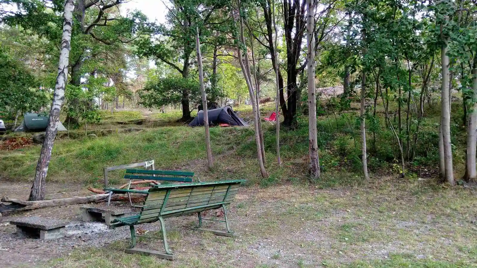 Ett naturskönt område på Ängby Camping med gröna blad, trädstammar och skugga. Det finns friluftsmöbler spridda i skogen för camping och avkoppling i vårmiljö.