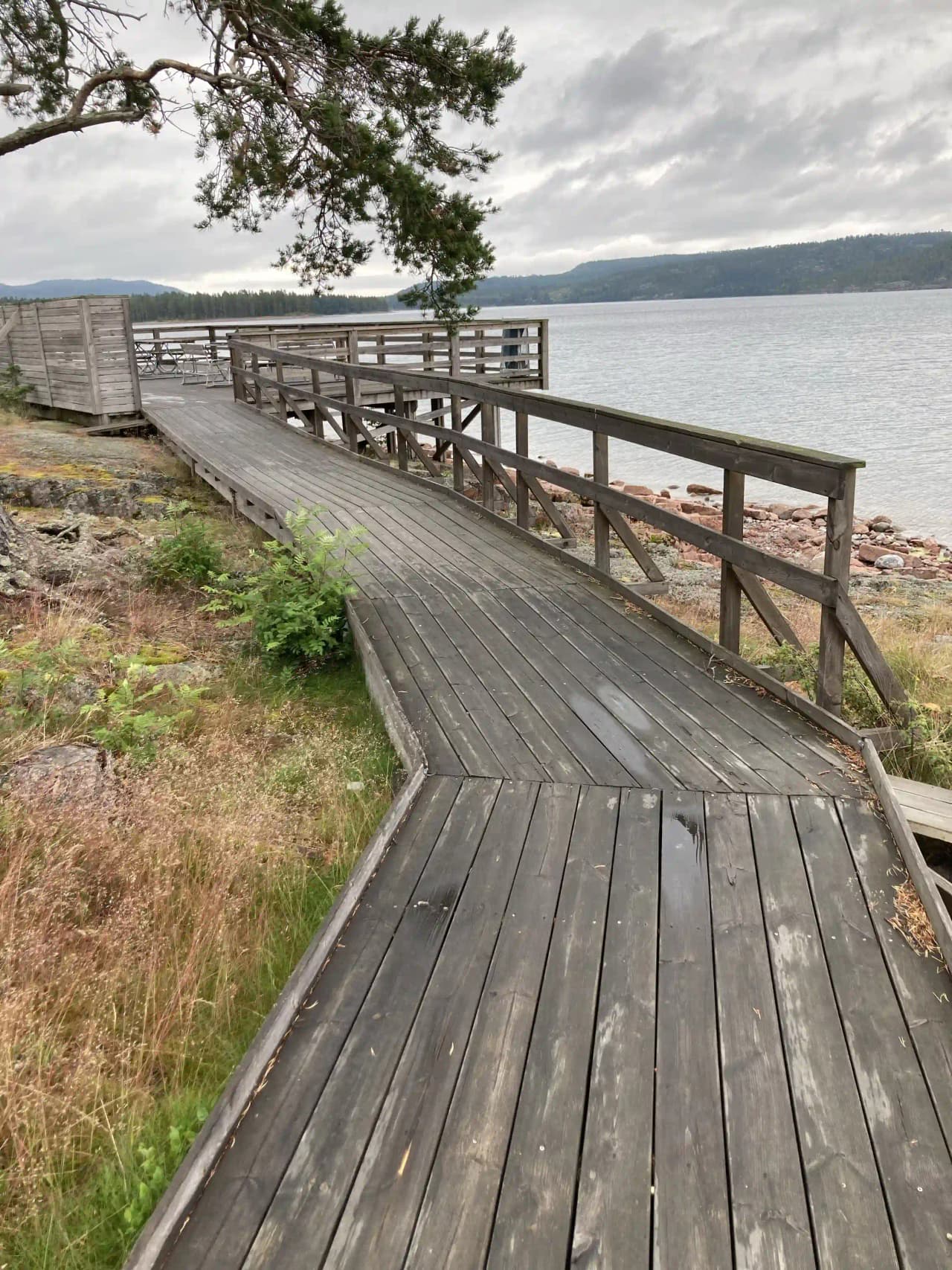En träspång leder genom ett naturskönt område vid Måvikens camping, omgiven av lummig vegetation och erbjuder en fridfull promenad i naturen.