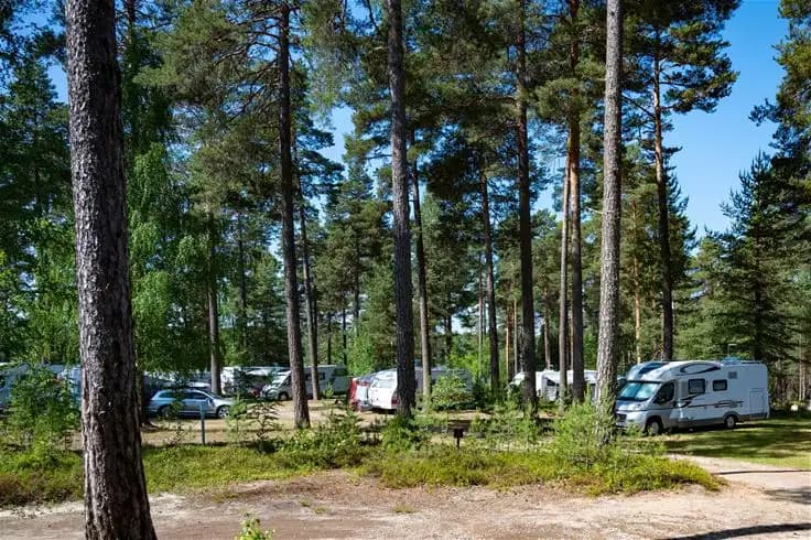 En bild av Norra Dellen Familjecamping omgiven av tät skog med barrträd och vissa lövträd. Parkeringen är synlig i förgrunden, omgiven av grönskande natur.