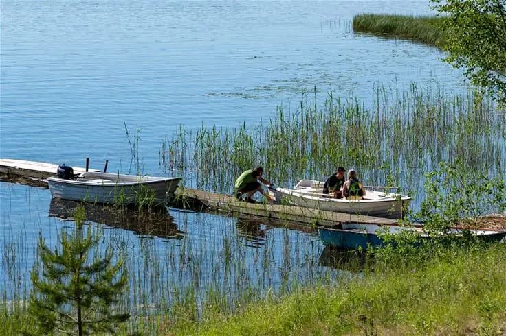 Bild av en grönskande sjömiljö vid norra Dellen familjecamping. I förgrunden syns en båt förankrad vid strandkanten, omgiven av frodig vegetation och vass.