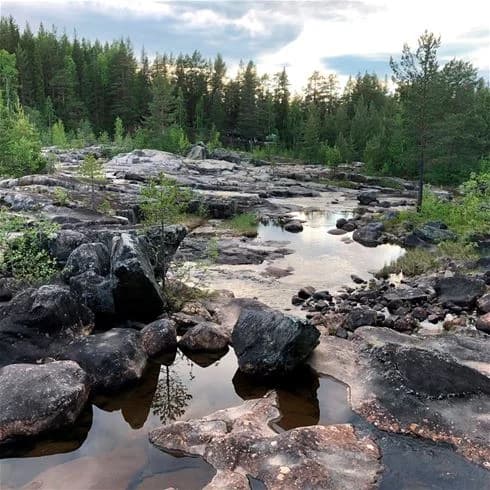 Bild av en naturskön plats vid Storforsens camping, med en vildmarksmiljö. Stenformationer kantar en strömmande bäck omgiven av tät skog, inklusive gran- och tallträd. Området framstår som ett naturreservat med tydliga flodlandformer.