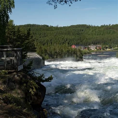 Bild av Storforsens camping med vy över en forsande älv. Vattnet strömmar kraftfullt genom det naturliga landskapet, omgivet av frodig grönska och skogsbevuxna områden. Forsen skapar ett dynamiskt och vilt intryck i naturskön miljö.