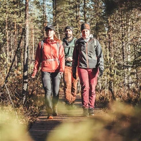 En grupp människor iklädda fritidskläder vandrar genom en skog nära Storforsens camping, omgivna av vildmark och grönskande träd.