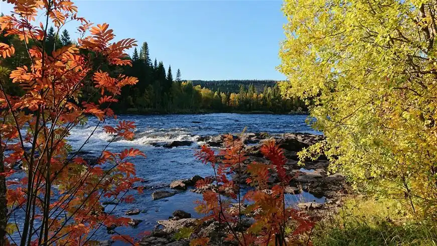 En naturskön vy över Ristafallets camping vid vatten, omgiven av frodig grönska och träd.