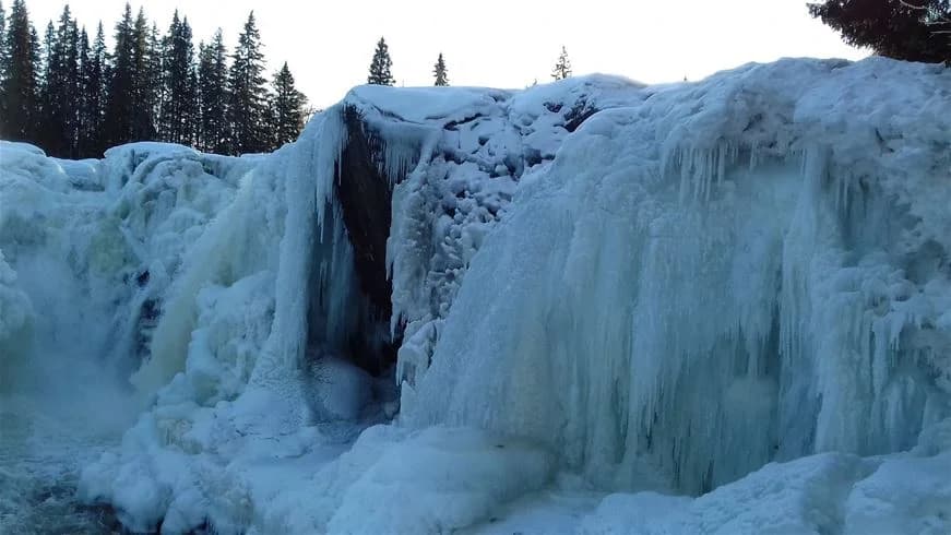 En vinterlandskap vid Ristafallets camping, täckt av snö och is, med ett sluttande terräng och barrträd som skapar en frusen och naturskön vy.