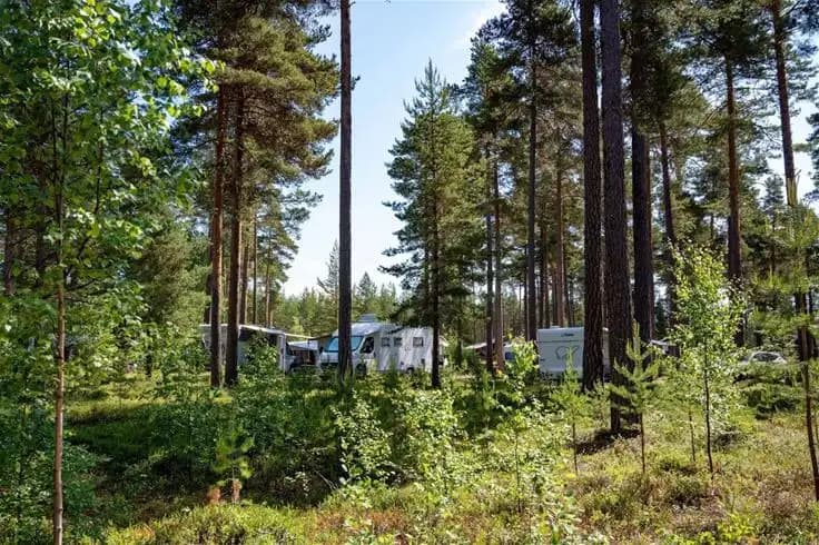 En grönskande campingplats omgiven av träd och natur, belägen i ett skogsområde vid norra Dellen.
