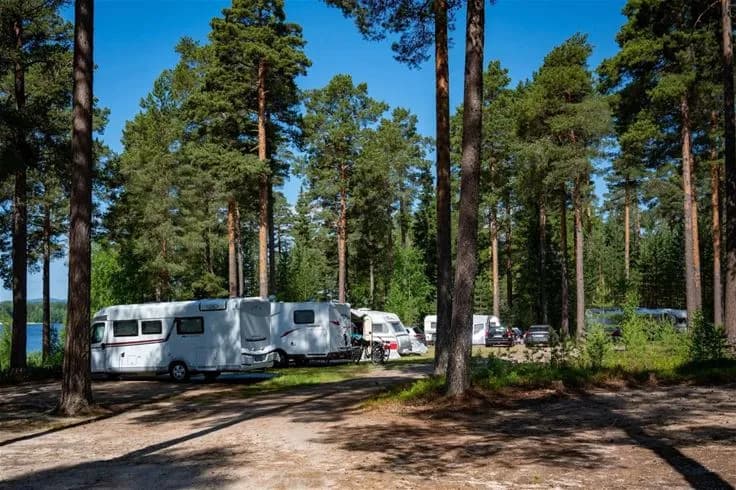 En husvagn står uppställd bland höga träd i en lummig skogsmiljö på Norra Dellen familjecamping.
