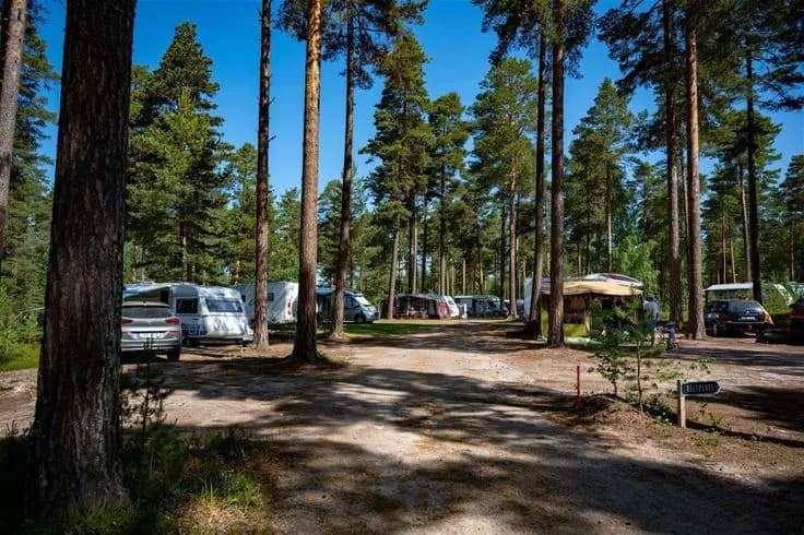En naturskön campingplats omgiven av tät skog och träd, med parkering och campingområde bland barrträd, vid Norra Dellen familjecamping.