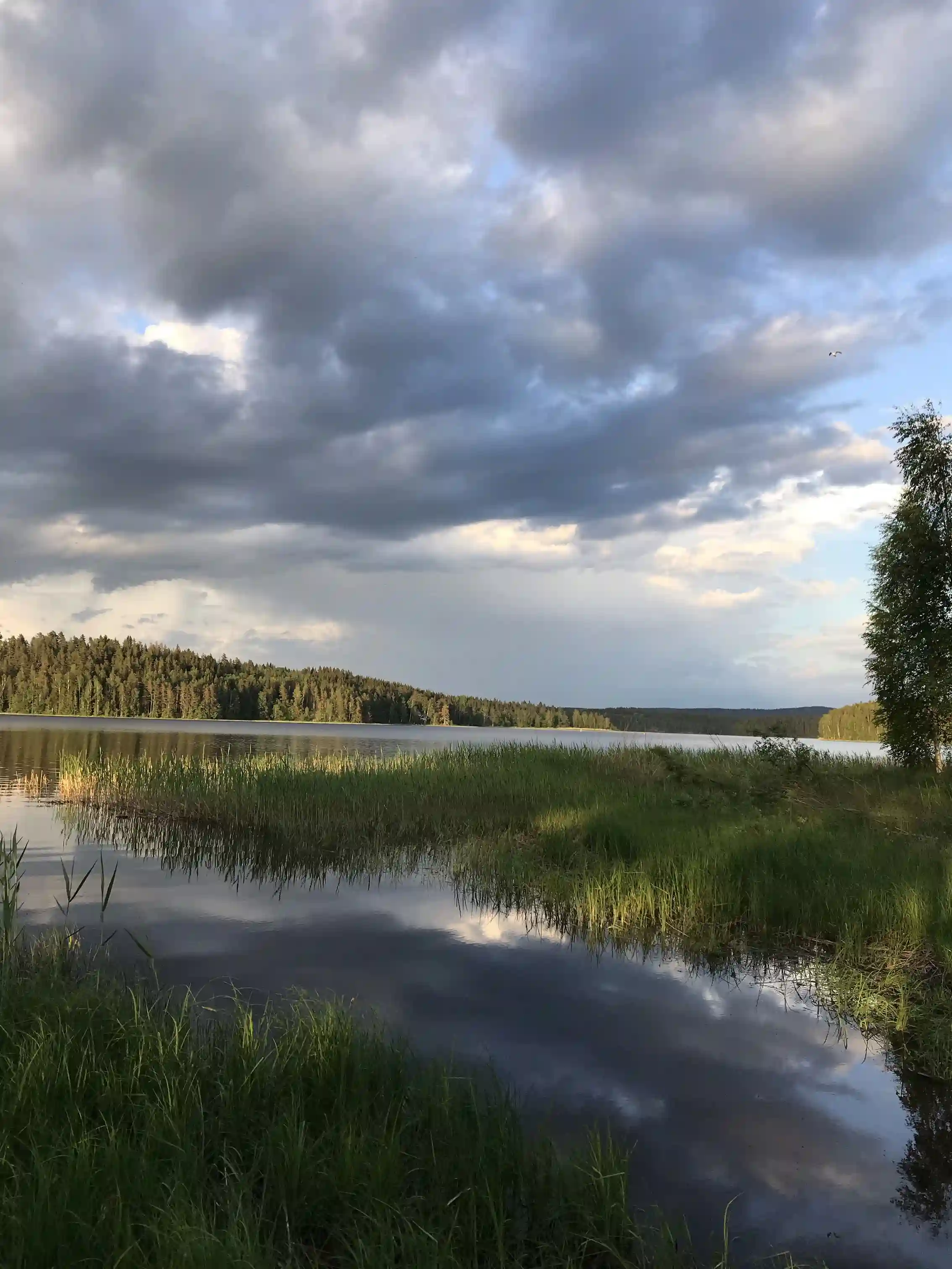 En bild av Brunskog hembygdsgård med en blå himmel fylld av cumulusmoln i bakgrunden. I förgrunden syns ett naturligt landskap med en vattenkälla som speglar himlen.