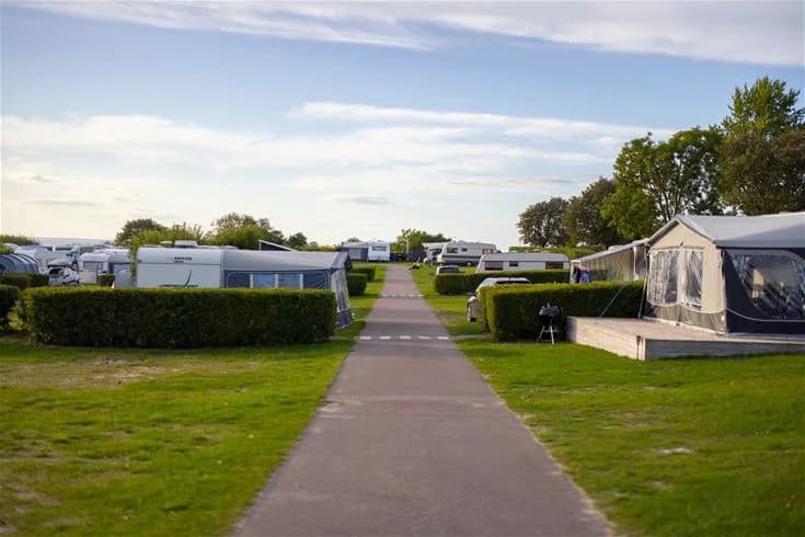 En grönskande campingplats med tält och husvagnar omgivna av träd, som visar en fridfull och naturnära miljö på Klinta Camping.