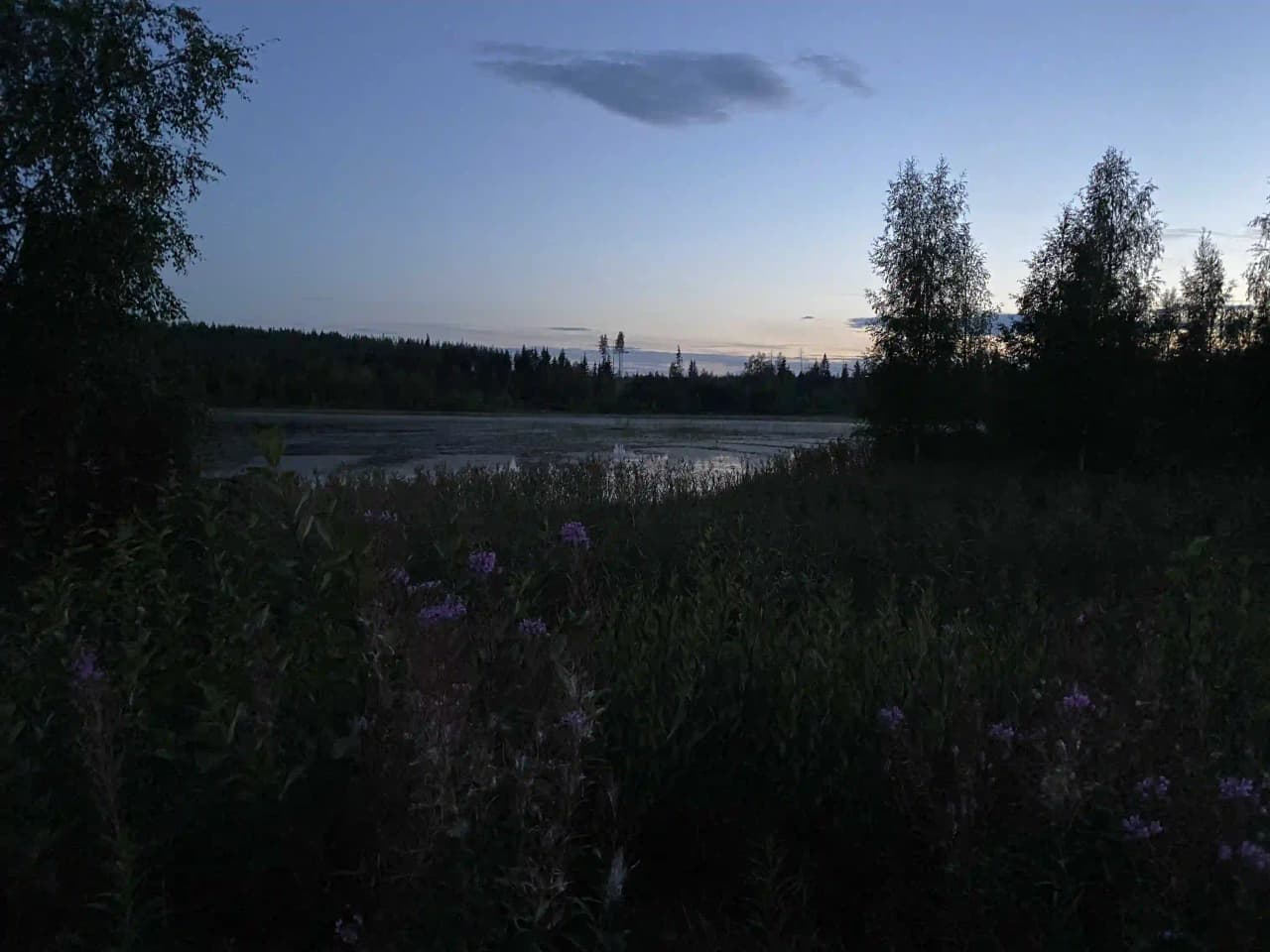 En vacker kvällsvy över gammeltomtens camping, med en spegelblank sjö omgiven av vildmark och våtmarker. Solnedgångens mjuka ljus reflekteras i vattnet, vilket skapar en lugn och fridfull atmosfär.