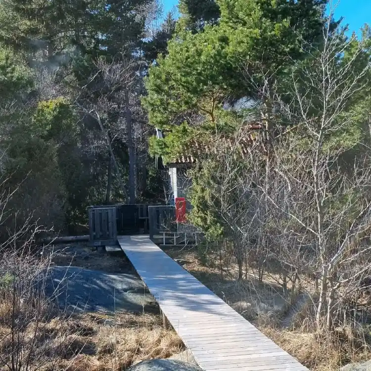 En träbelagd gångstig som slingrar sig genom en tät skog på Ängskärs Havscamping.
