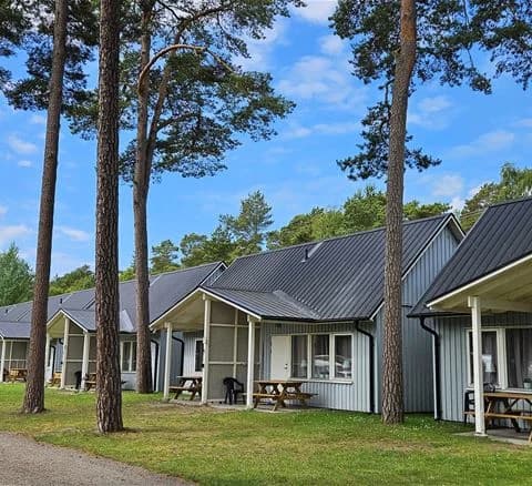 En bild av Ystad Camping som visar en stuga omgiven av grönska, inklusive en välskött gräsmatta och uppvuxna träd som ger skugga. I förgrunden syns en uppfart och välskött landskapsarkitektur som ger en inbjudande känsla.