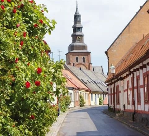 En stenlagd infart vid Ystad camping, omgiven av grönskande träd och buskar. I bakgrunden syns en byggnad samt parkbänkar längs gångvägen.