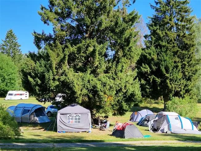 En tältplats vid Farstanäs camping & havsbad, omgiven av träd och grönska, med ett tält uppsatt på en gräsäng. Perfekt för friluftsliv och avkoppling i naturen.