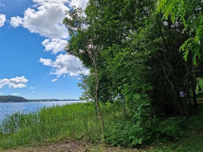 En somrig bild av Farstanäs camping och havsbad med blå himmel och moln, grönskande vegetation och naturmiljö i förgrunden.