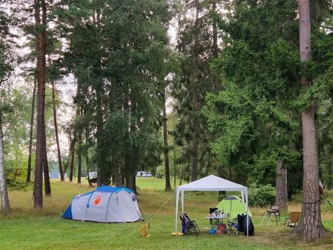 En grupp tält uppsatta på en gräsplan omgivna av träd, med människor som campar och njuter av fritid i en parkliknande skogsmiljö vid Farstanäs Camping & Havsbad.