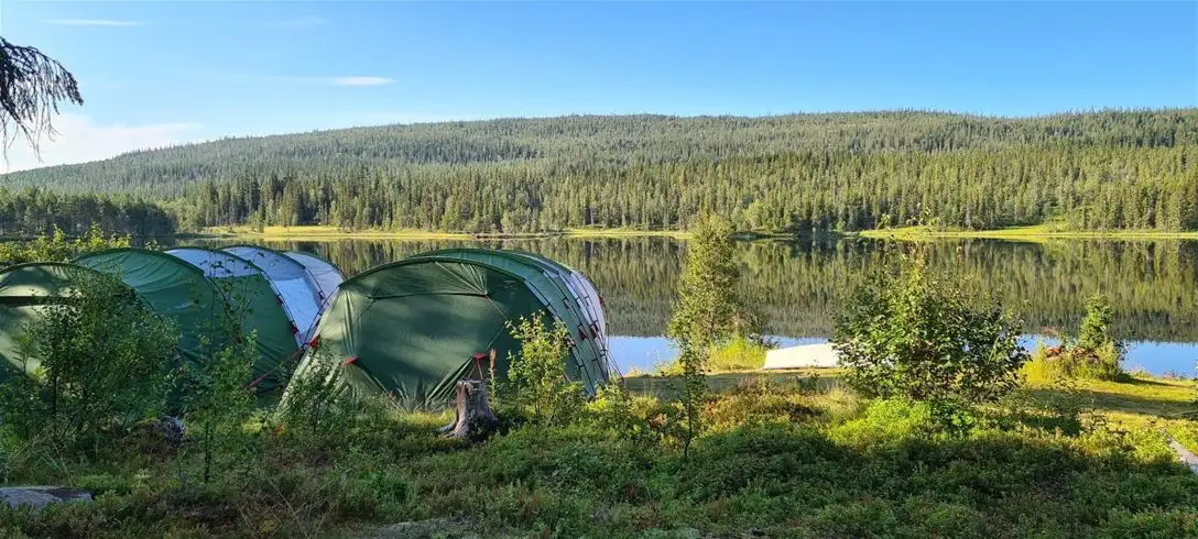 En tältplats vid en sjö i Jormvattnets Fiskecamp, omgiven av en tät skog.