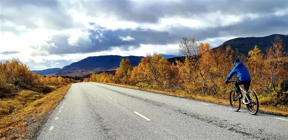 En cyklist längs en väg omgiven av bergiga landskap vid Jormvattnets fiskecamp, med fokus på cykeldetaljer som hjul och styre.