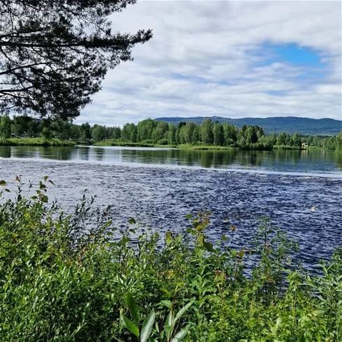 En naturskön vy över Hede Camping med en blå himmel och vita moln i bakgrunden. I förgrunden syns en klar vattensjö omgivet av gröna träd och växtlighet, vilket skapar en lugn och harmonisk atmosfär.