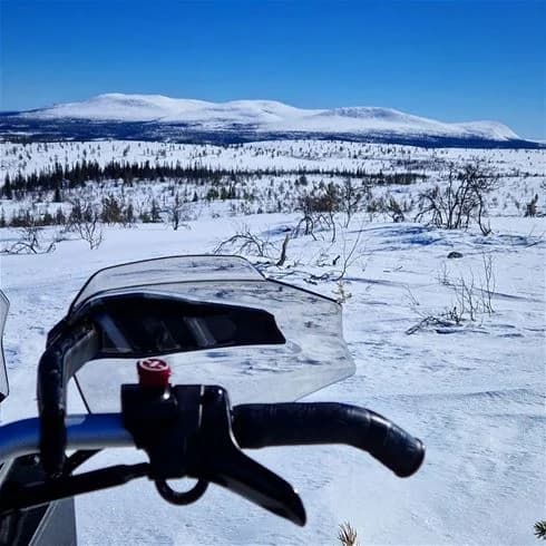 En vinterlandskap med snötäckta mark och träd vid Hede camping, där snön breder ut sig som en glaciärformation i det stilla, kyliga vädret.
