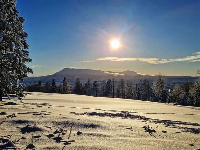 En vintervy över Hede Camping med snötäckta berg i bakgrunden, en klar himmel och en soluppgång som färgar landskapet. Några grenar syns i förgrunden mot den snötäckta marken.