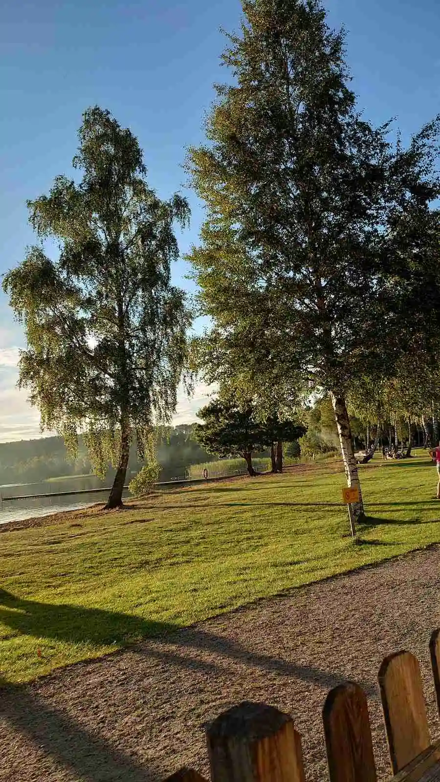 En lummig campingplats omgiven av träd och grönska med en välskött gräsmatta vid Luhrsjöbadens camping.