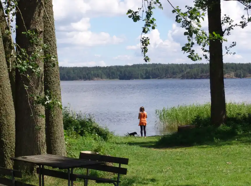 En solig dag vid Husabergsudde camping med grönskande natur och en lugn sjö i bakgrunden. Perfekt för rekreation och semester med en strandkant som inbjuder till avkoppling vid vattnet.